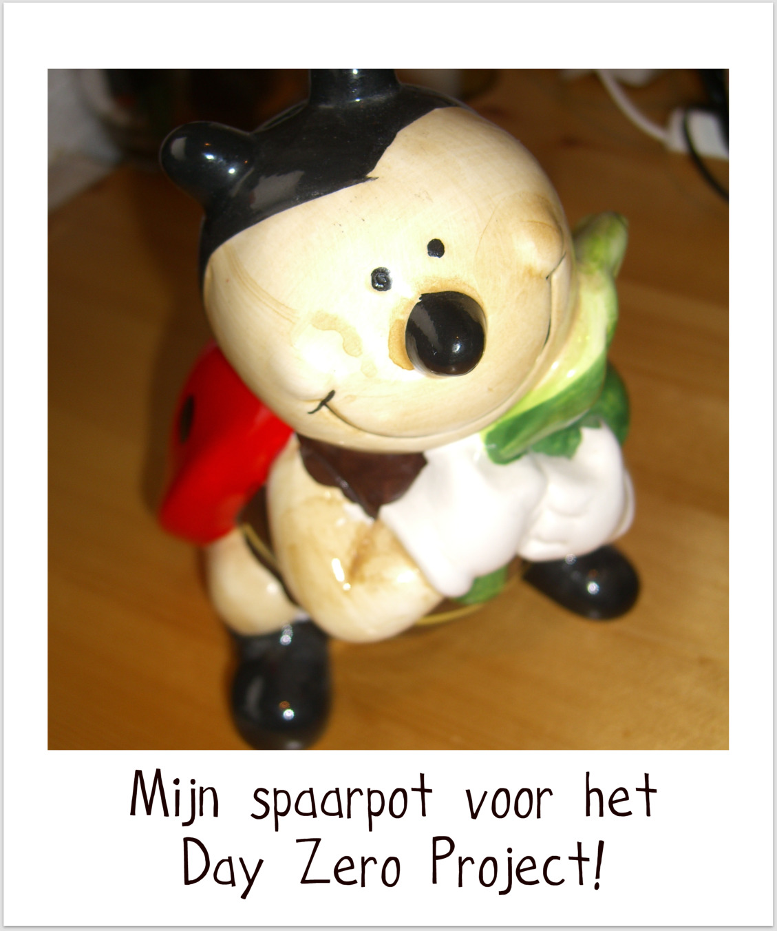 Spaarpot Day Zero Project Spaarpot Day Zero Project