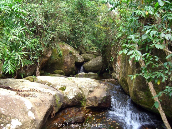 Photo Friday: Wilderness Photo Friday: Wilderness